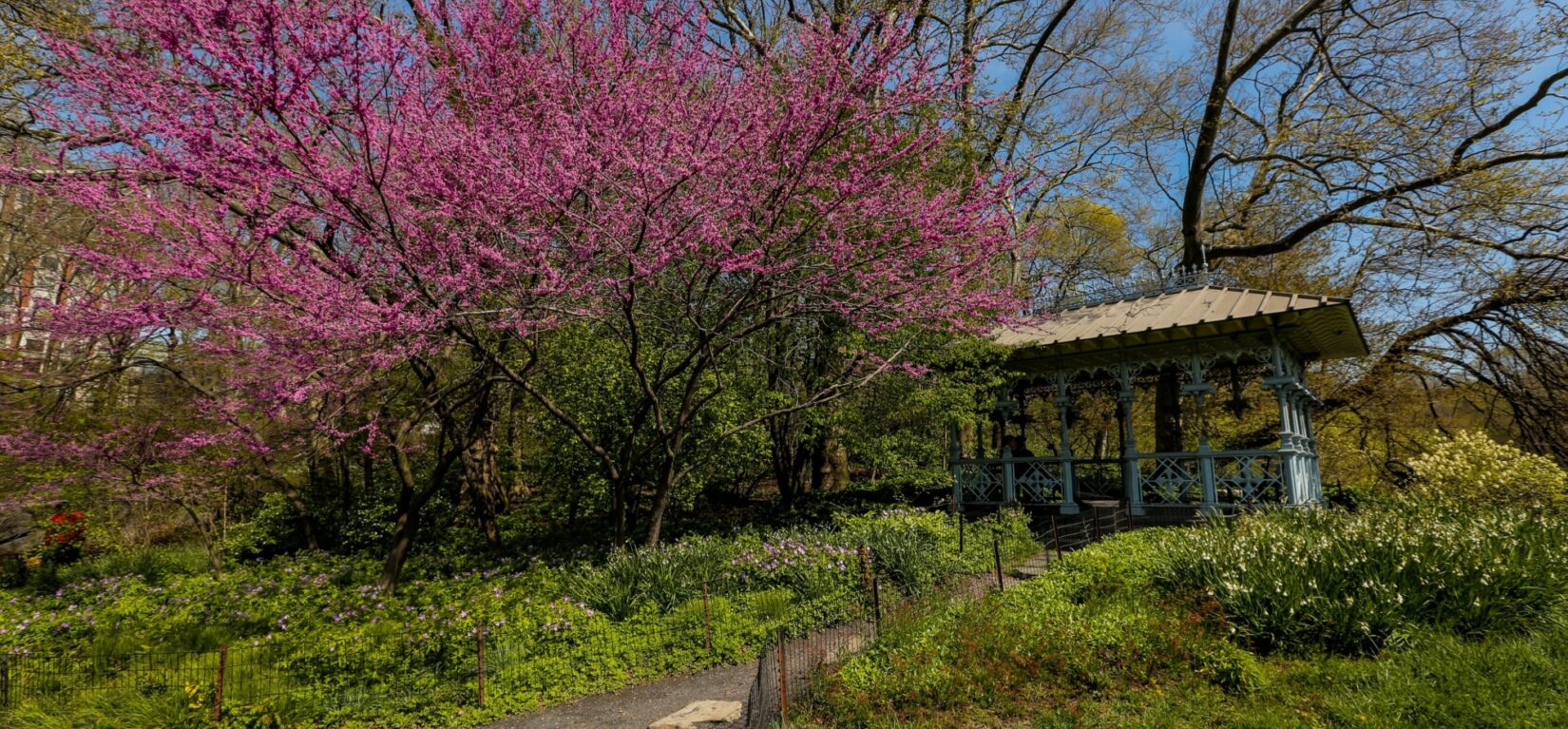 The pavilion shown perched on Hernshead amid flowering trees