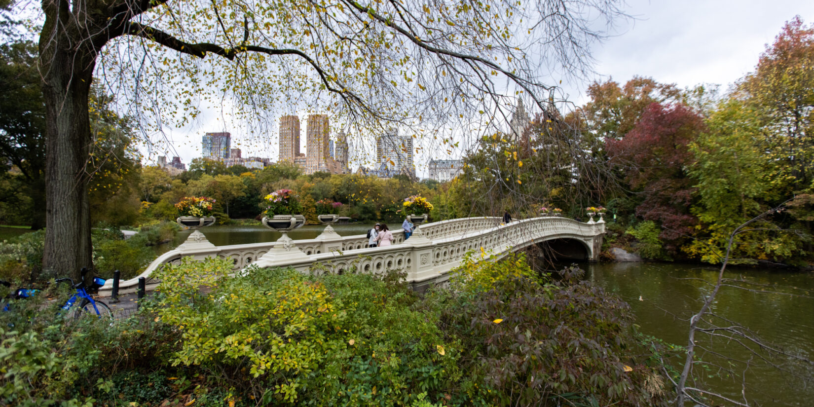 Lake Bow Bridge in Central Park