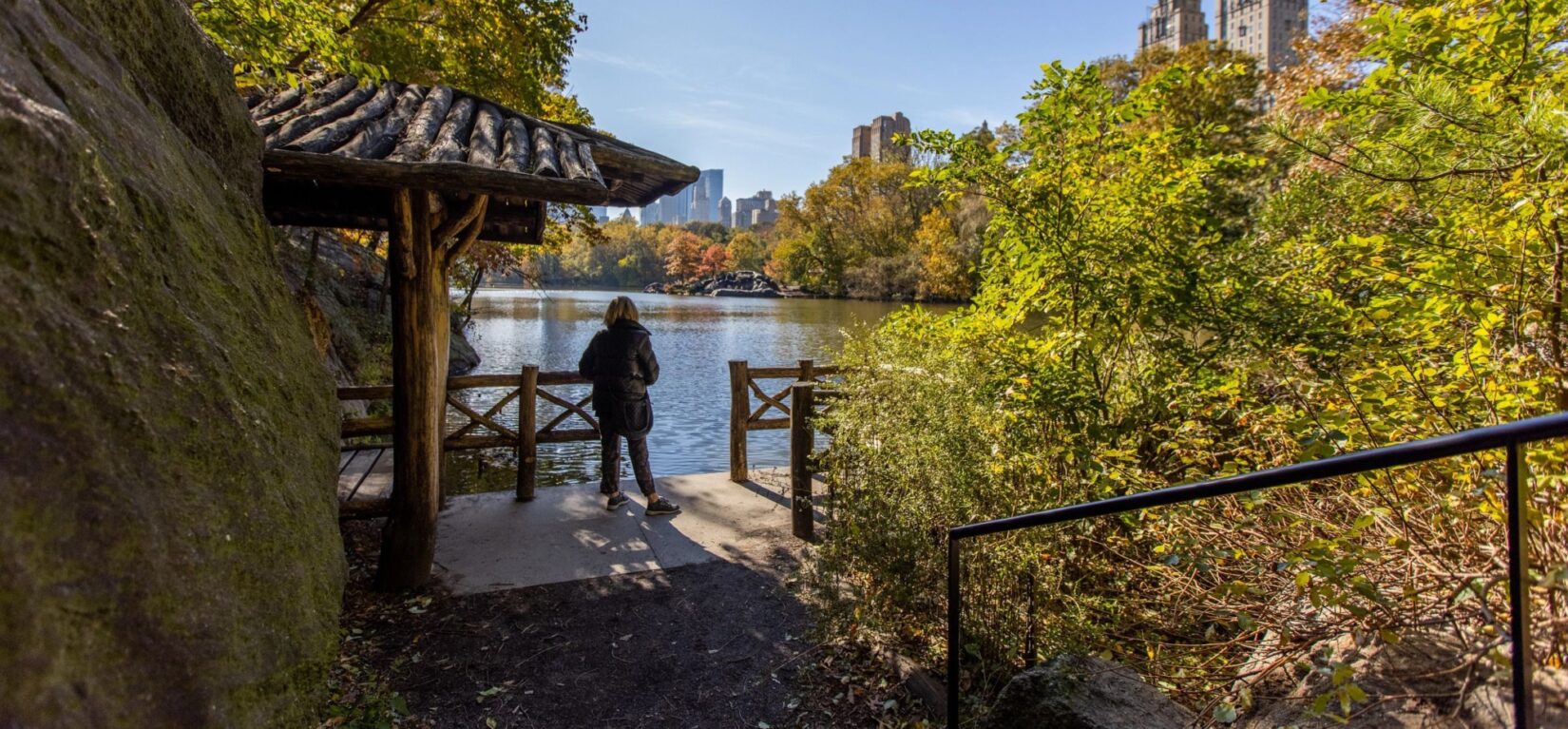 Looking down the path to the Chambers Boat Landing, where a woman looks across the Lake to the skyline at the horizon in autumn.