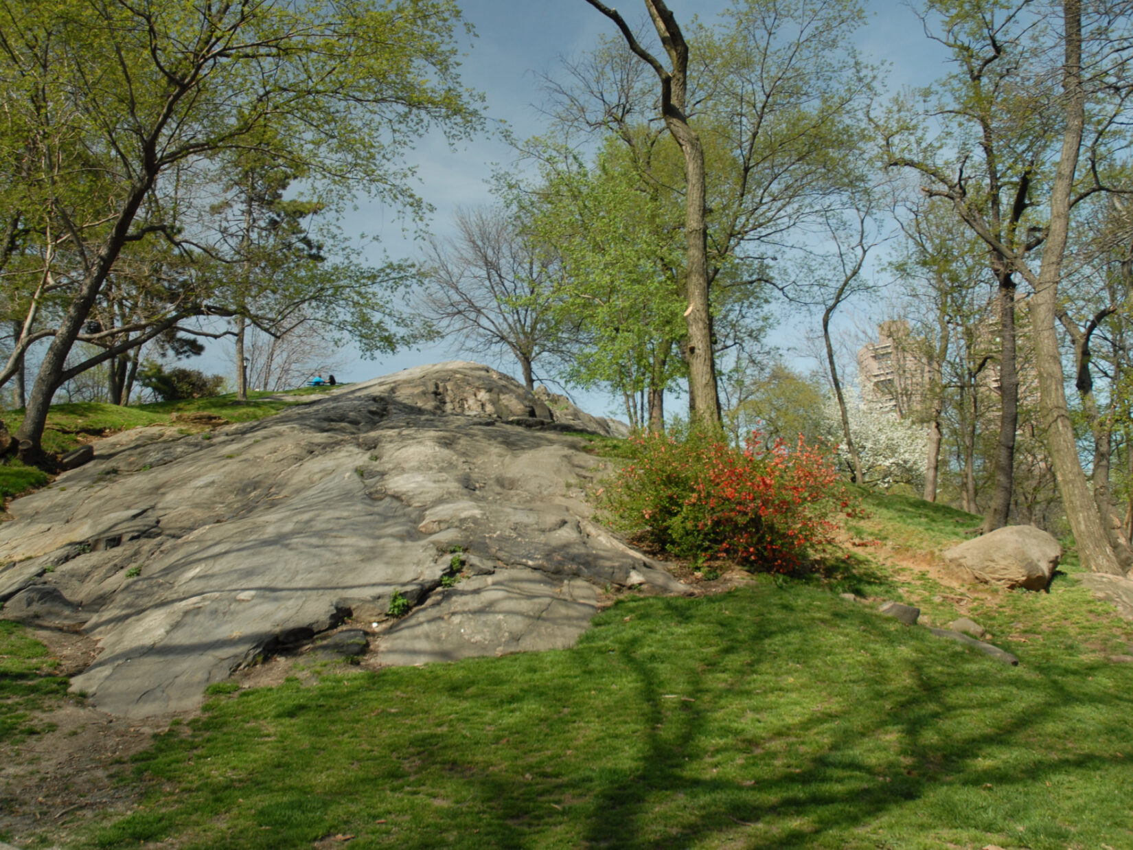 A rocky landscape with trees