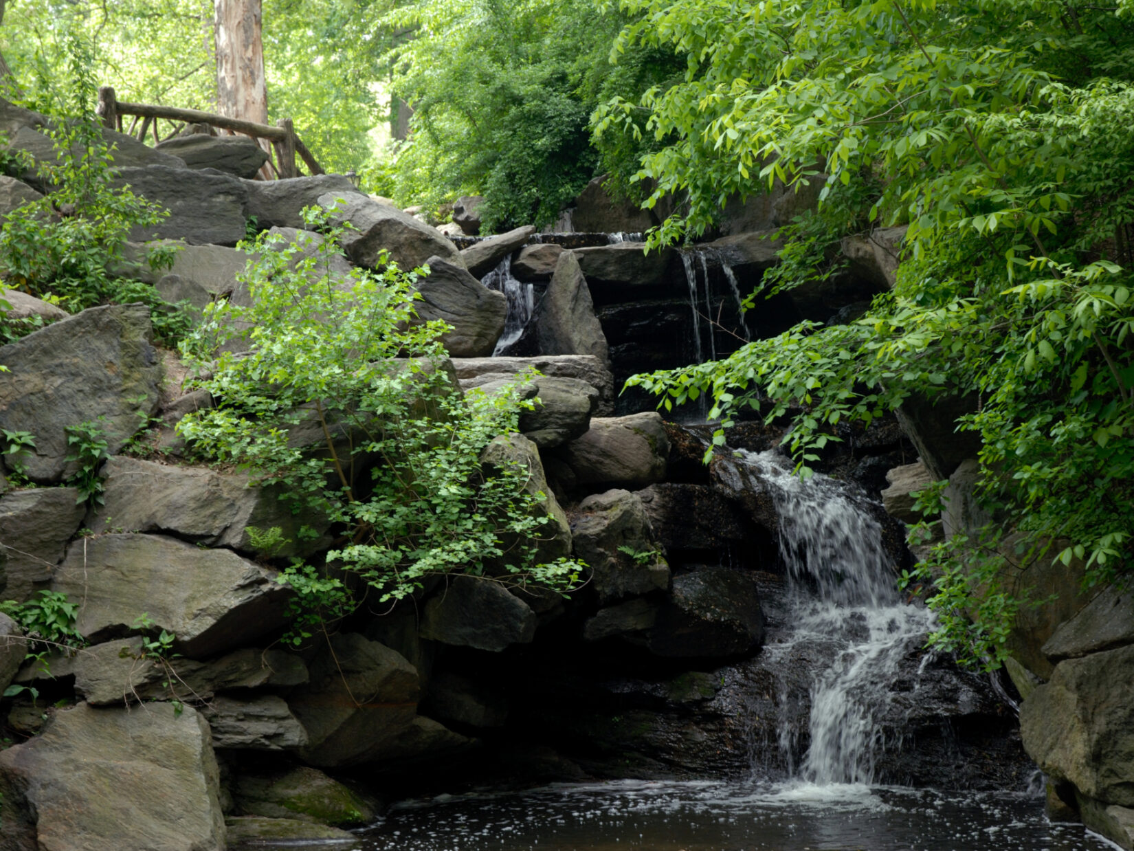 Landscapes Ravine Summer DSC 0199