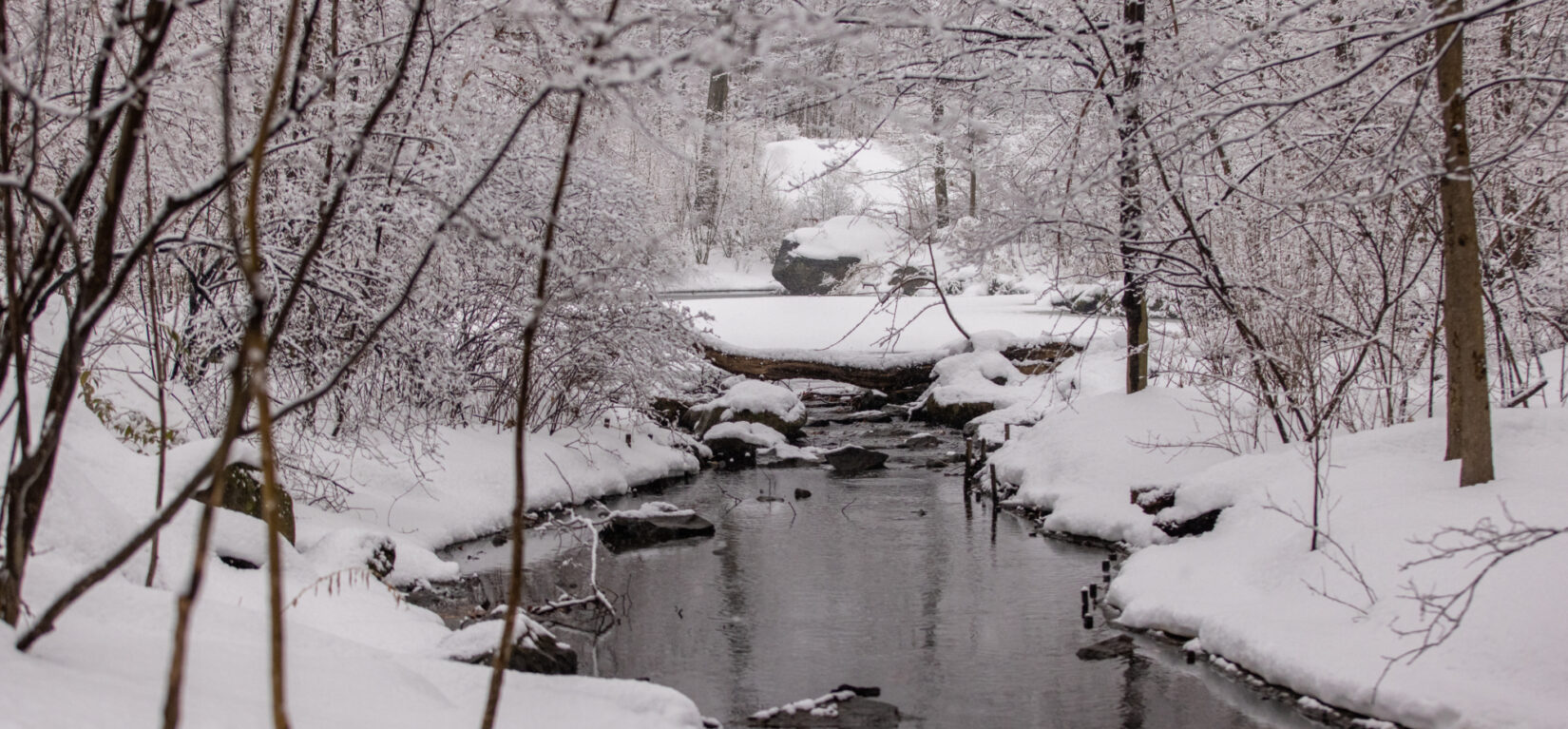 The Loch, a stream in Central Park, flows through a snowy landscape with bare trees.