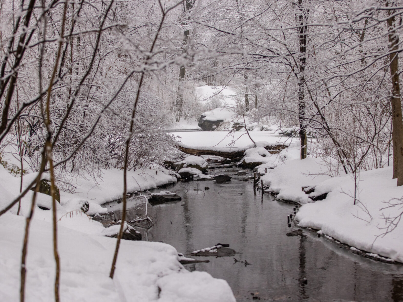 The Loch, a stream in Central Park, flows through a snowy landscape with bare trees.