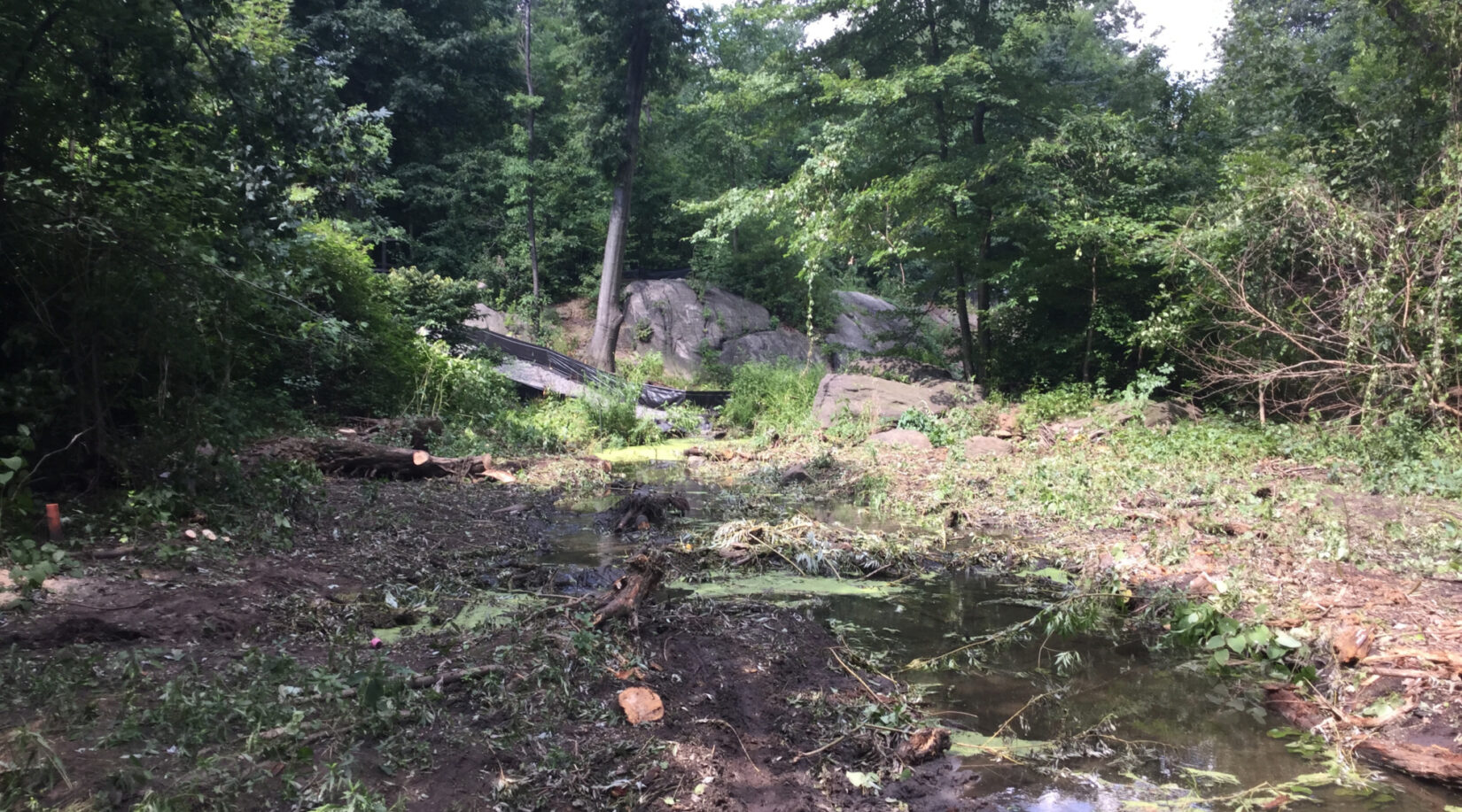 The Ravine and Loch in Central Park before restoration