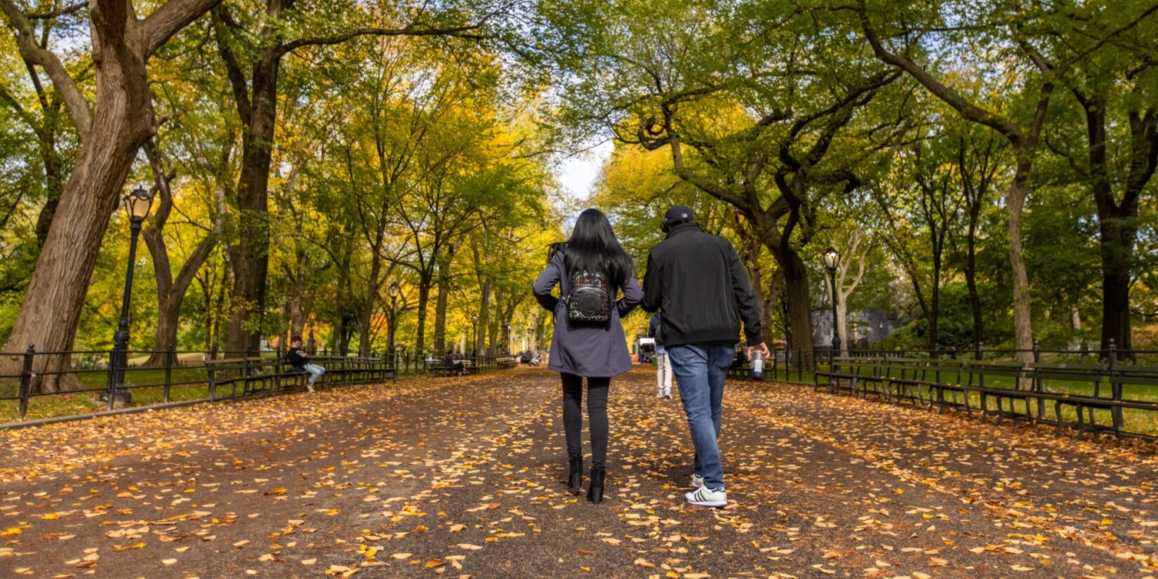 A couple stroll down the Mall over fallen leaves and under branches of fall foliage