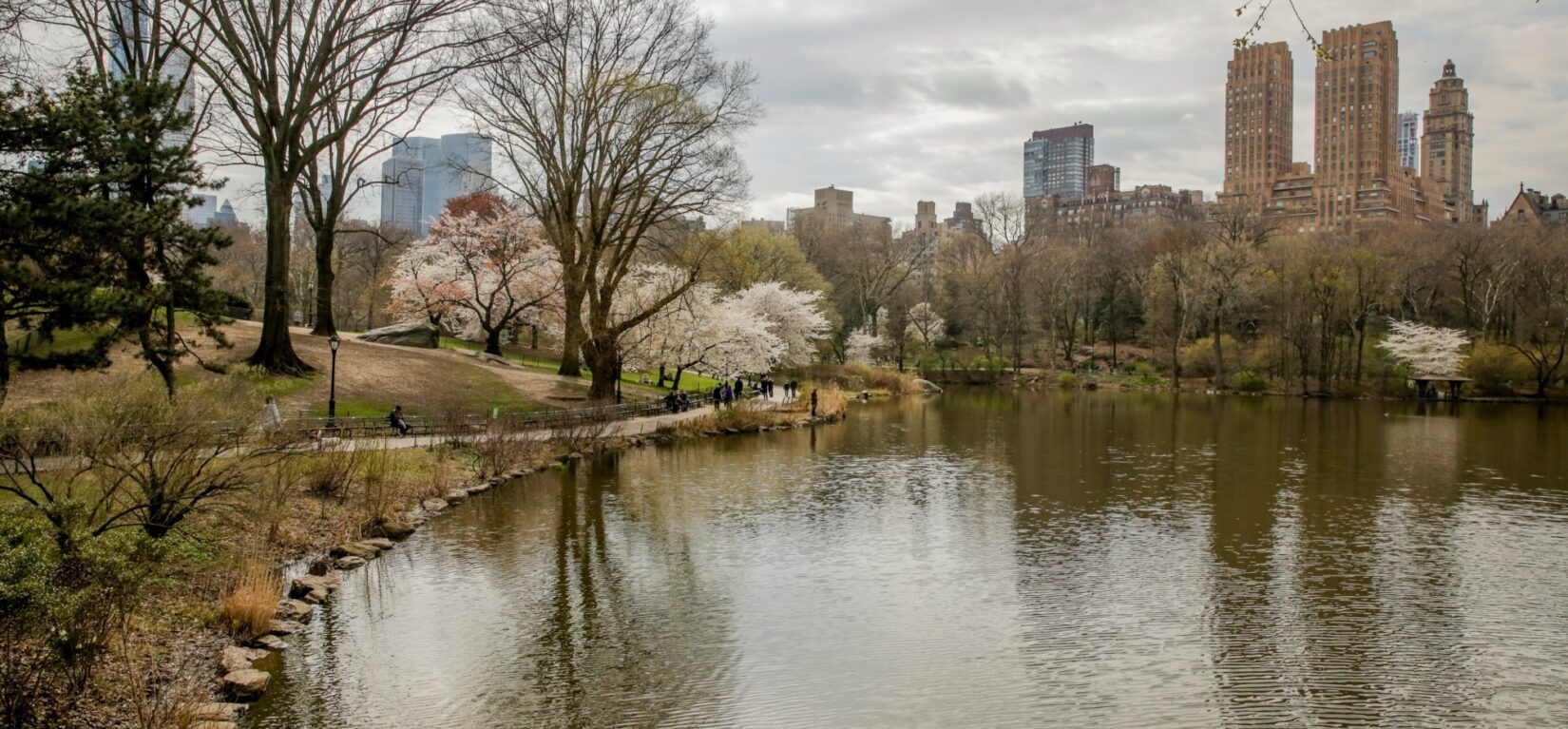 Cherry blossoms announce the arrival of spring, reflected in the Lake