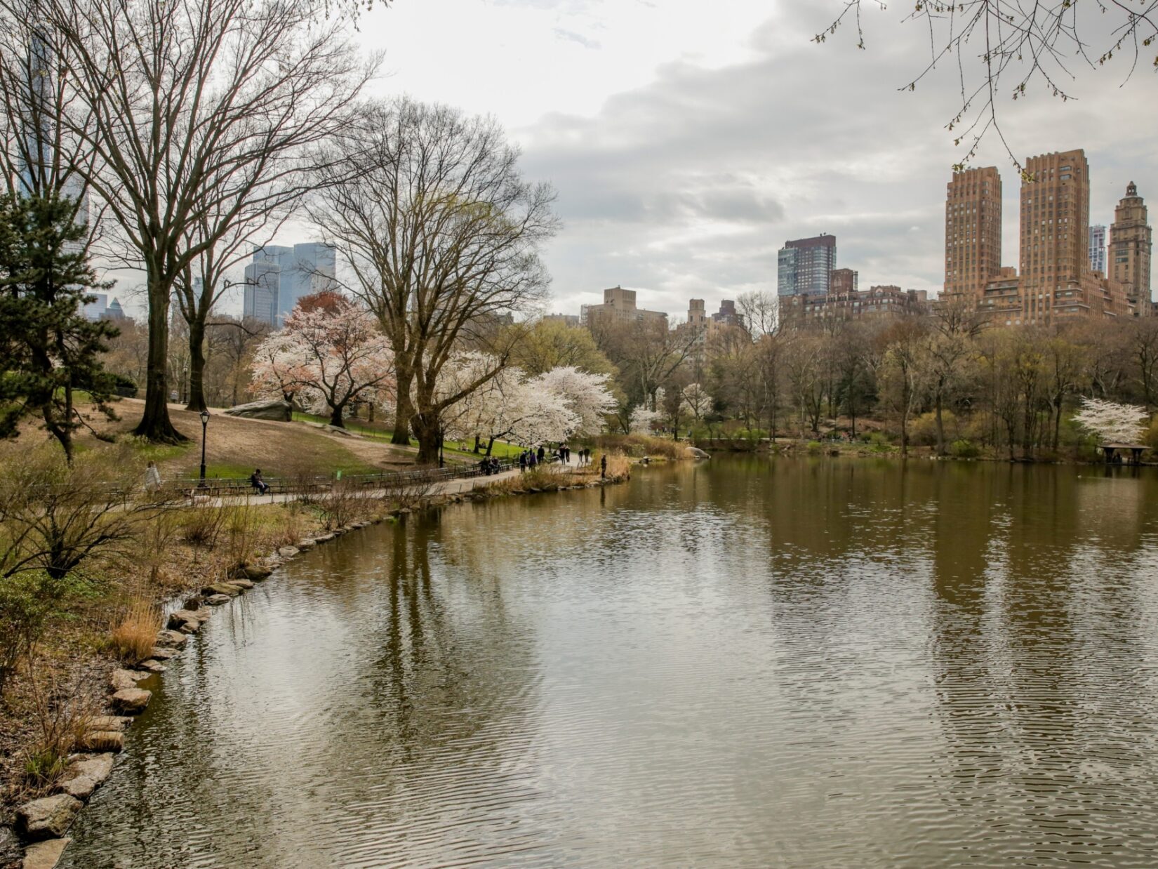 Cherry blossoms announce the arrival of spring, reflected in the Lake