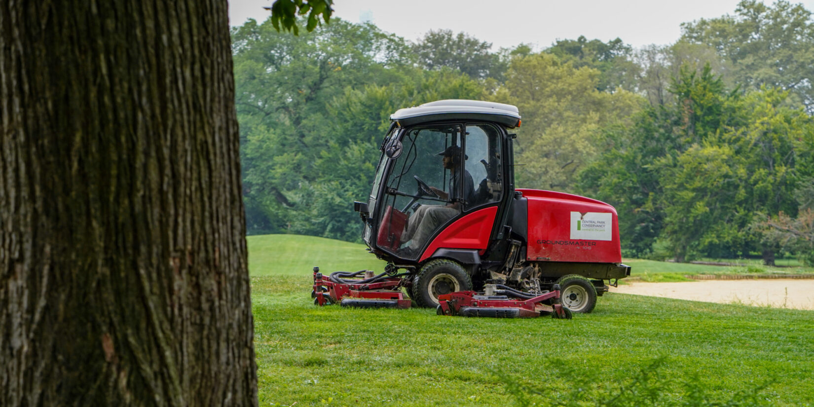 A red tractor mower in stark relief on a green lawn, framed by dark brown tree trunks.