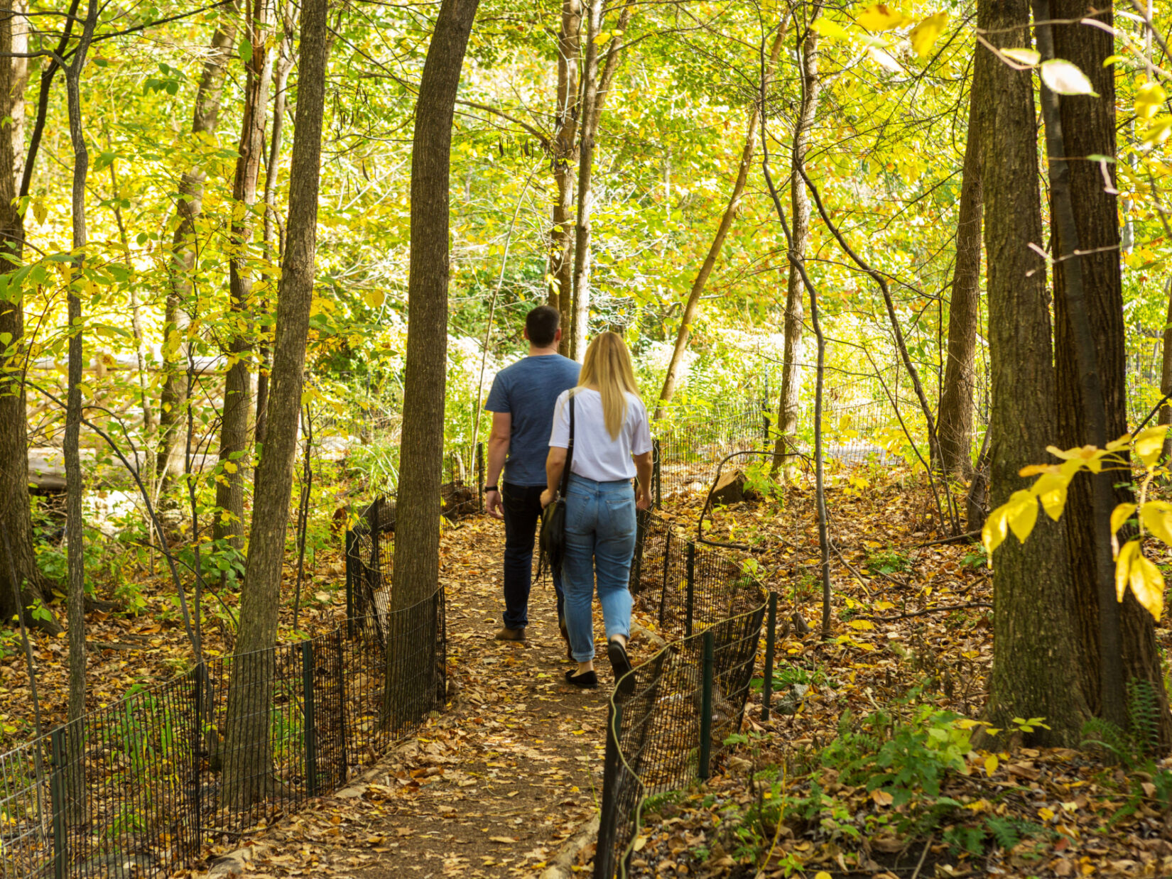 A couple strolling the North Woods and leaf-peeping the autumn foliage