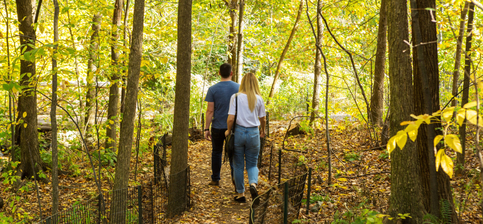 A couple strolling the North Woods and leaf-peeping the autumn foliage