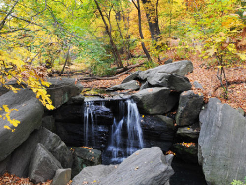 North woods tour fall