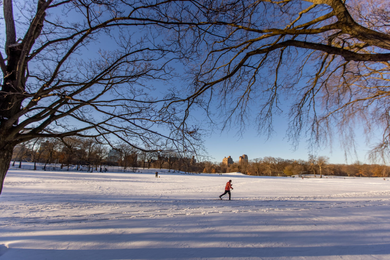 A Park visitor skis along the North Meadow on a clear, snowy day.