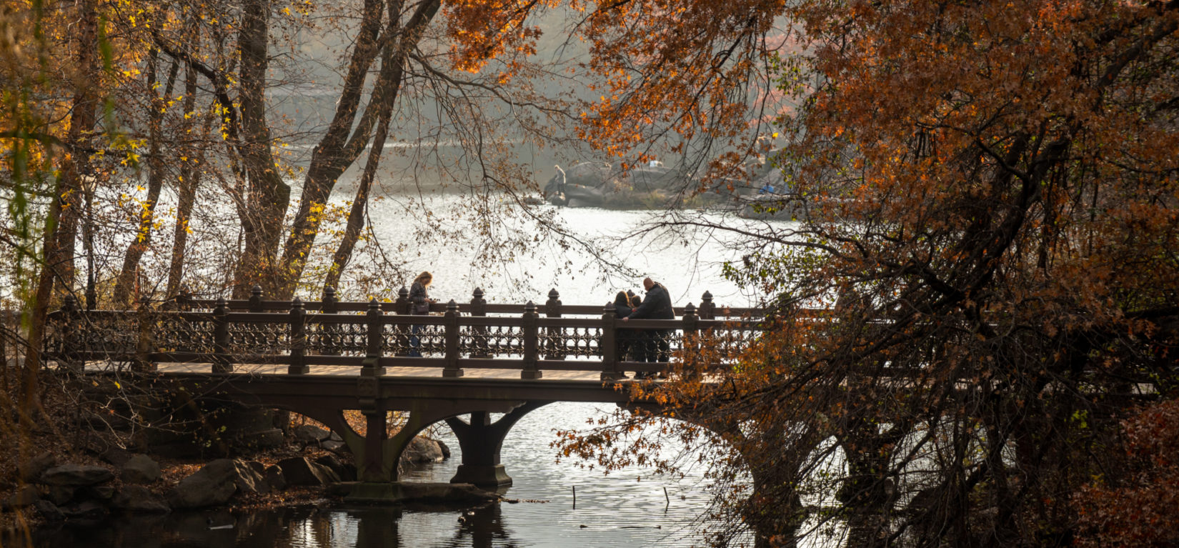 Oak Bridge Fall 20191125 07423