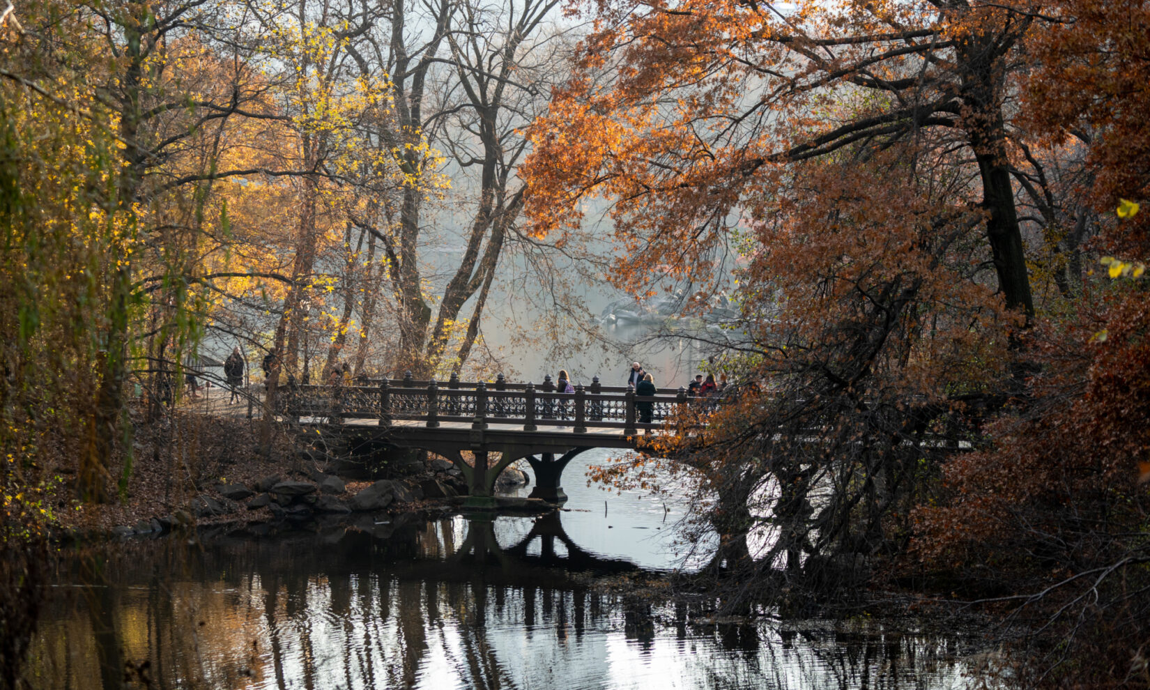 The bridge, shot in autumn light, under arched branches of foliage