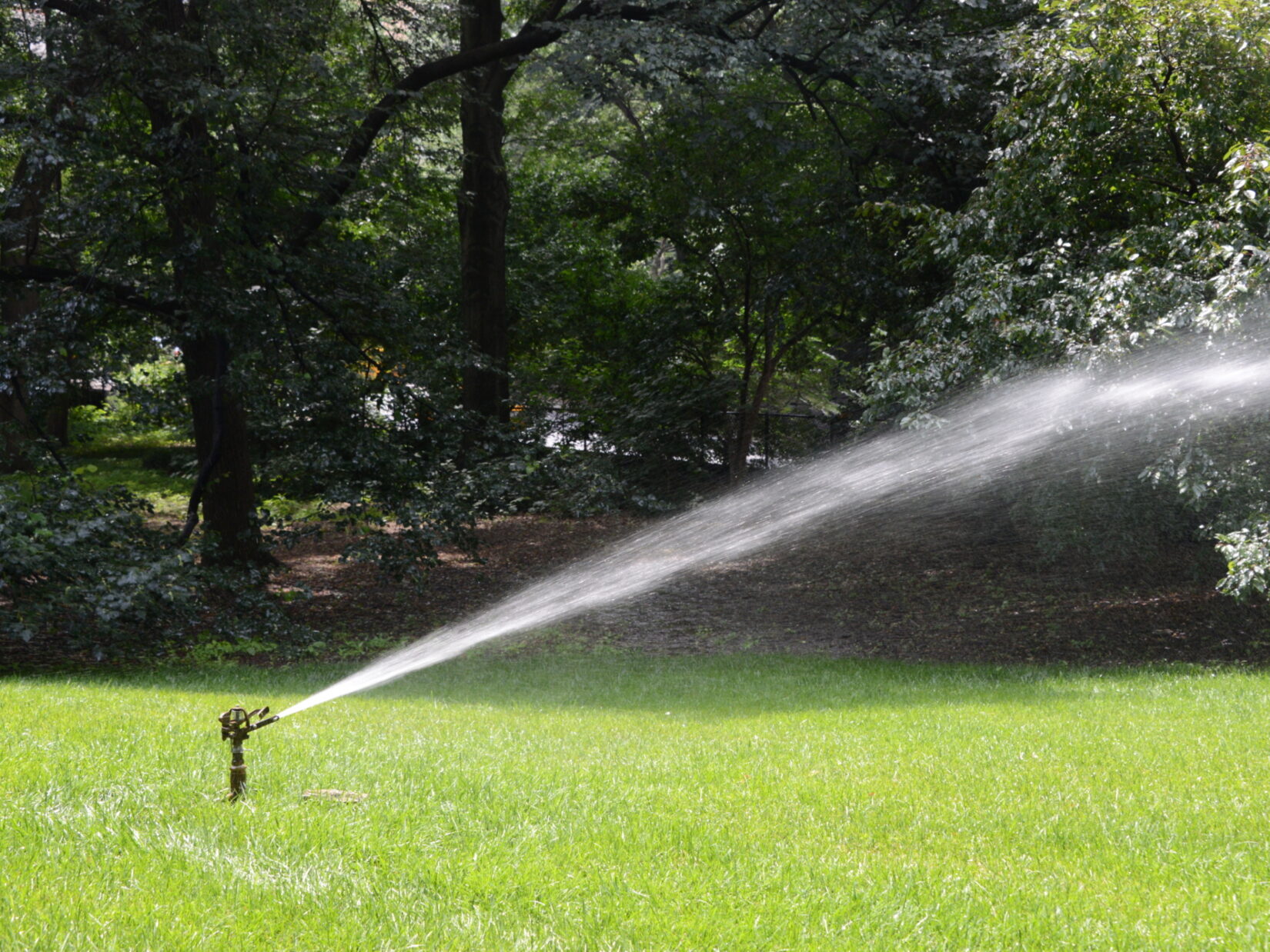 A sprinkler waters a lawn