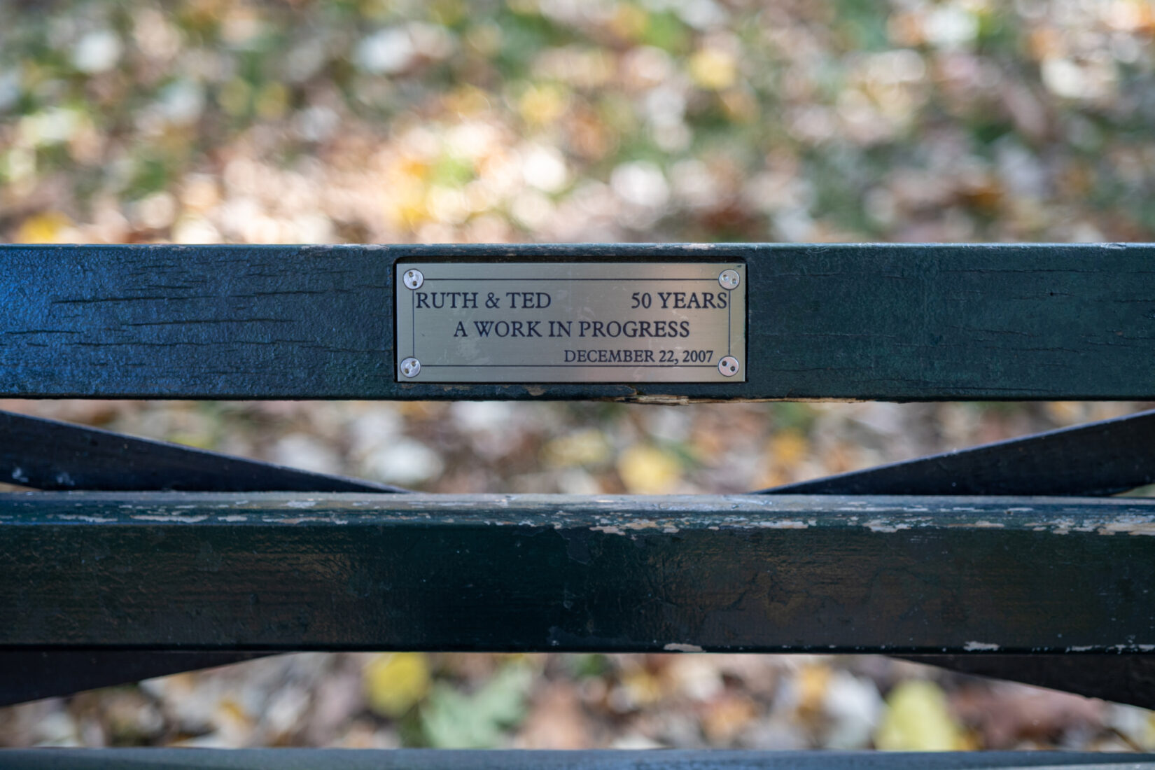 Park Bench Plaques 20191106 09635