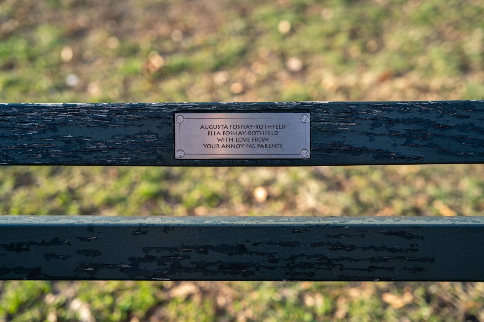 Park Bench Plaques East Meadow 20200208 06198