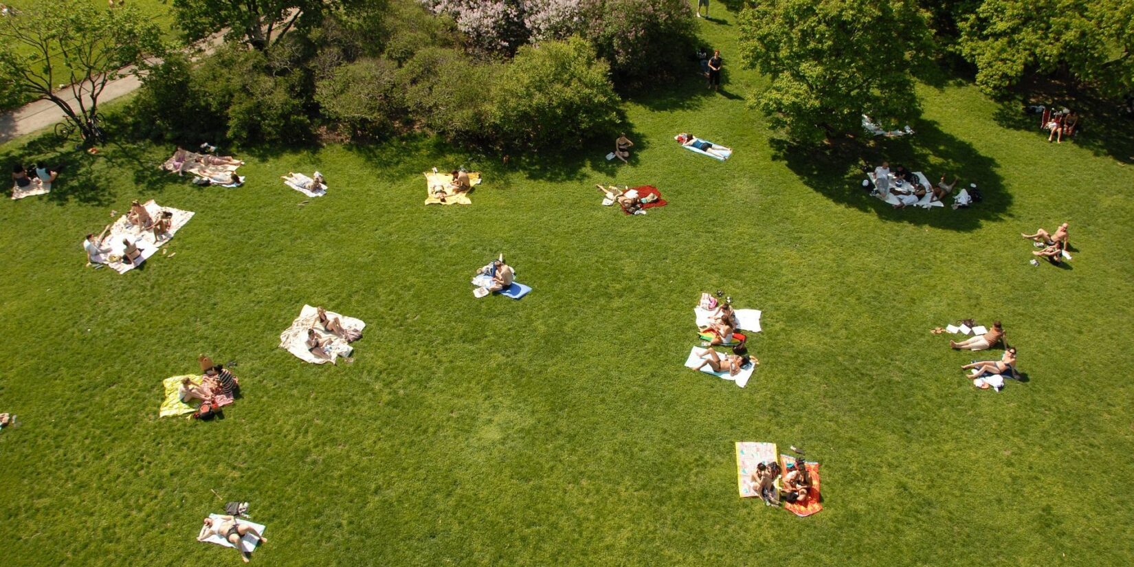 Sunbathers dot the landscape in this aerial shot of a Central Park lawn