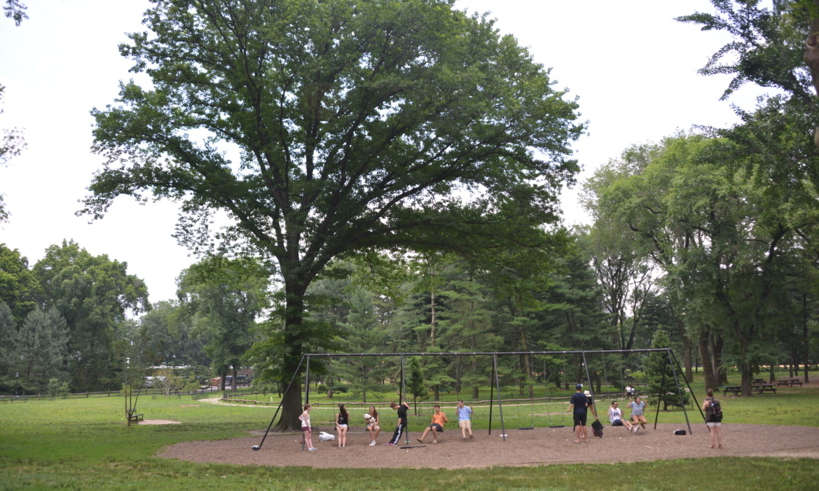 Park visitors enjoy the swings surrounded by the trees of the Pinetum.