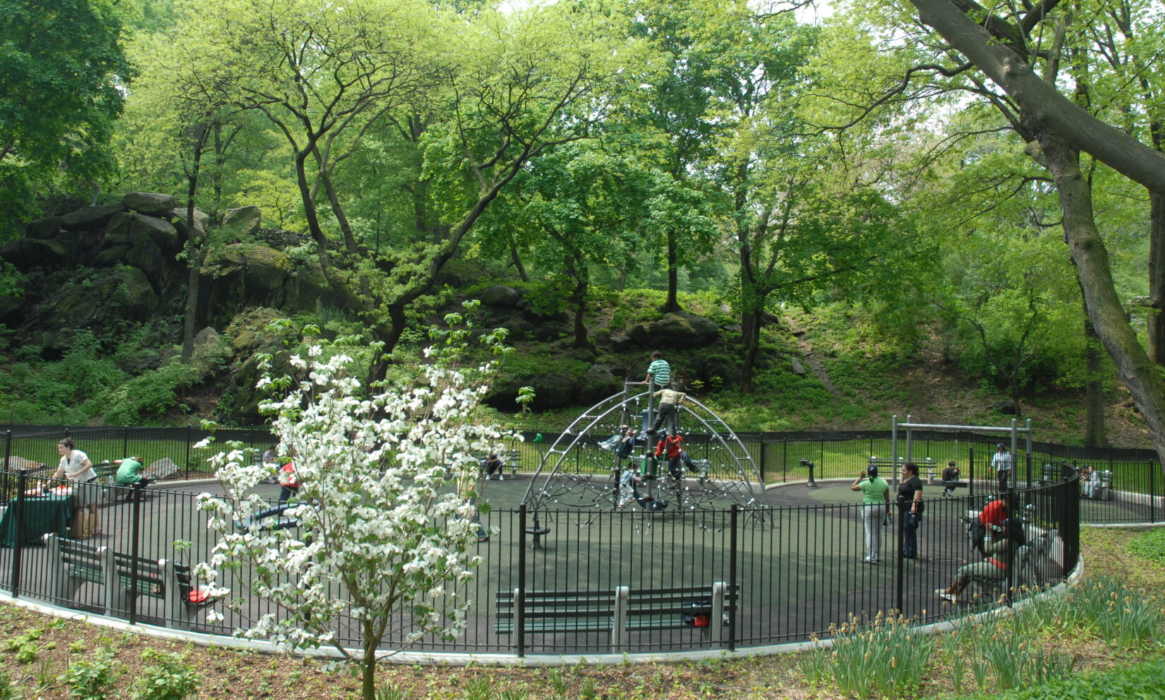 Children playing on the climbing equipment surrounded by trees  sporting spring leaves.