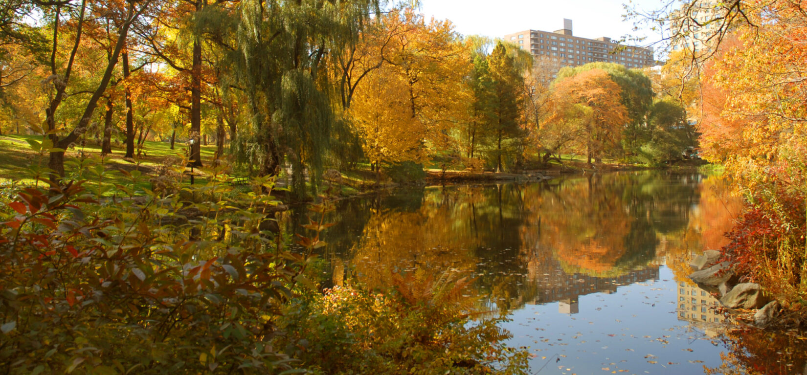 The Pool, captured in Autumn