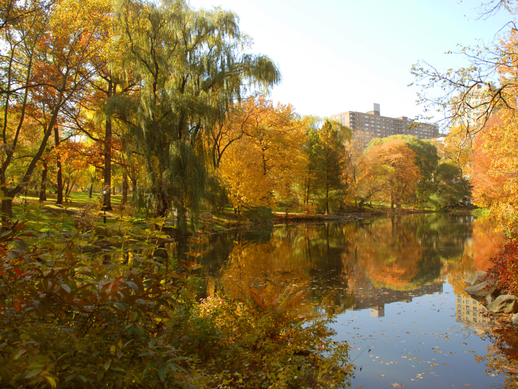 The Pool, captured in Autumn