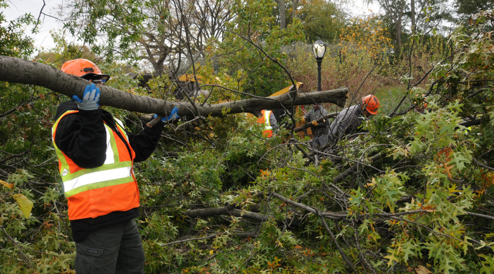 Problems Hurricane Sandy 2 2012 DSC 4450