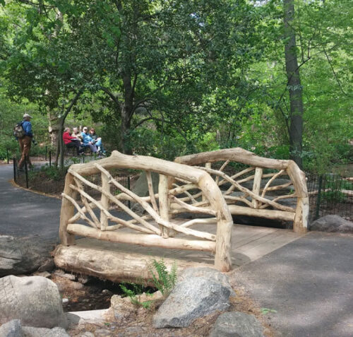 The new rustic bridge across Azalea Pond