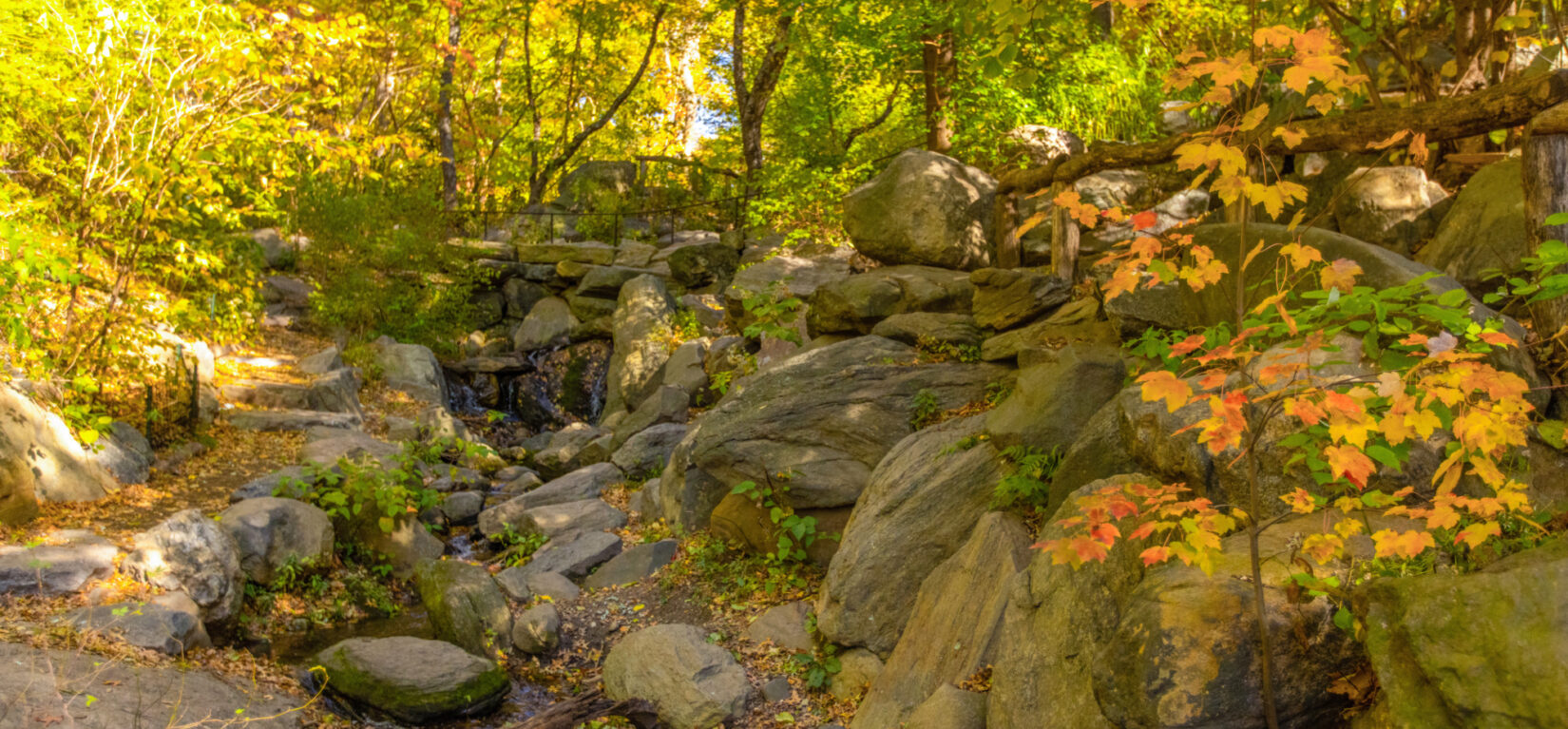 The Ramble in the autumn.