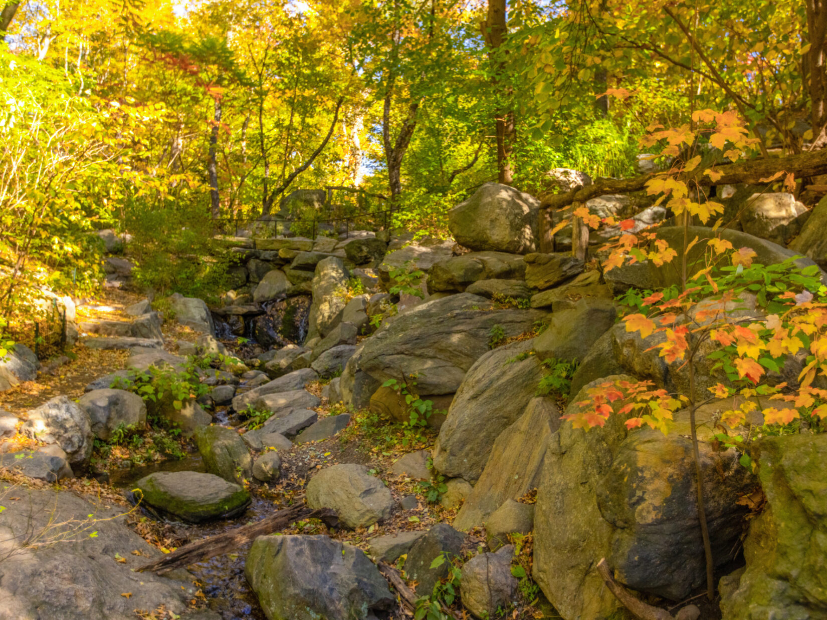 The Ramble in the autumn.