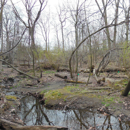 The Loch in need of restoration