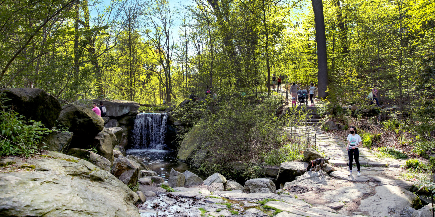 Central Park's Ravine, people seen from distance looking at a waterfall.