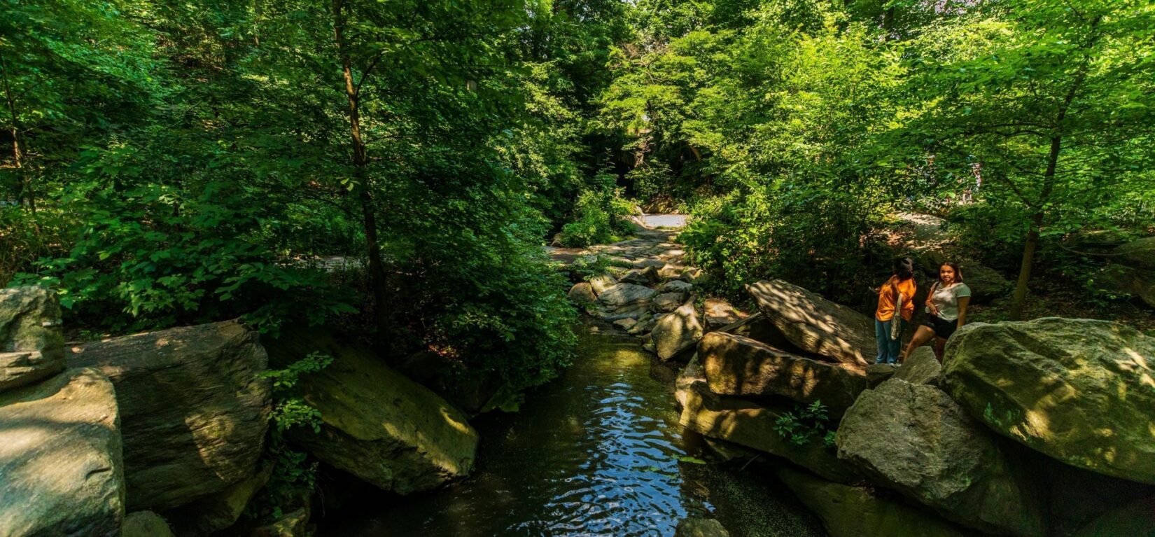 A pair of visitors stand on the shaded banks of the Ravine in a lush forest landscape.