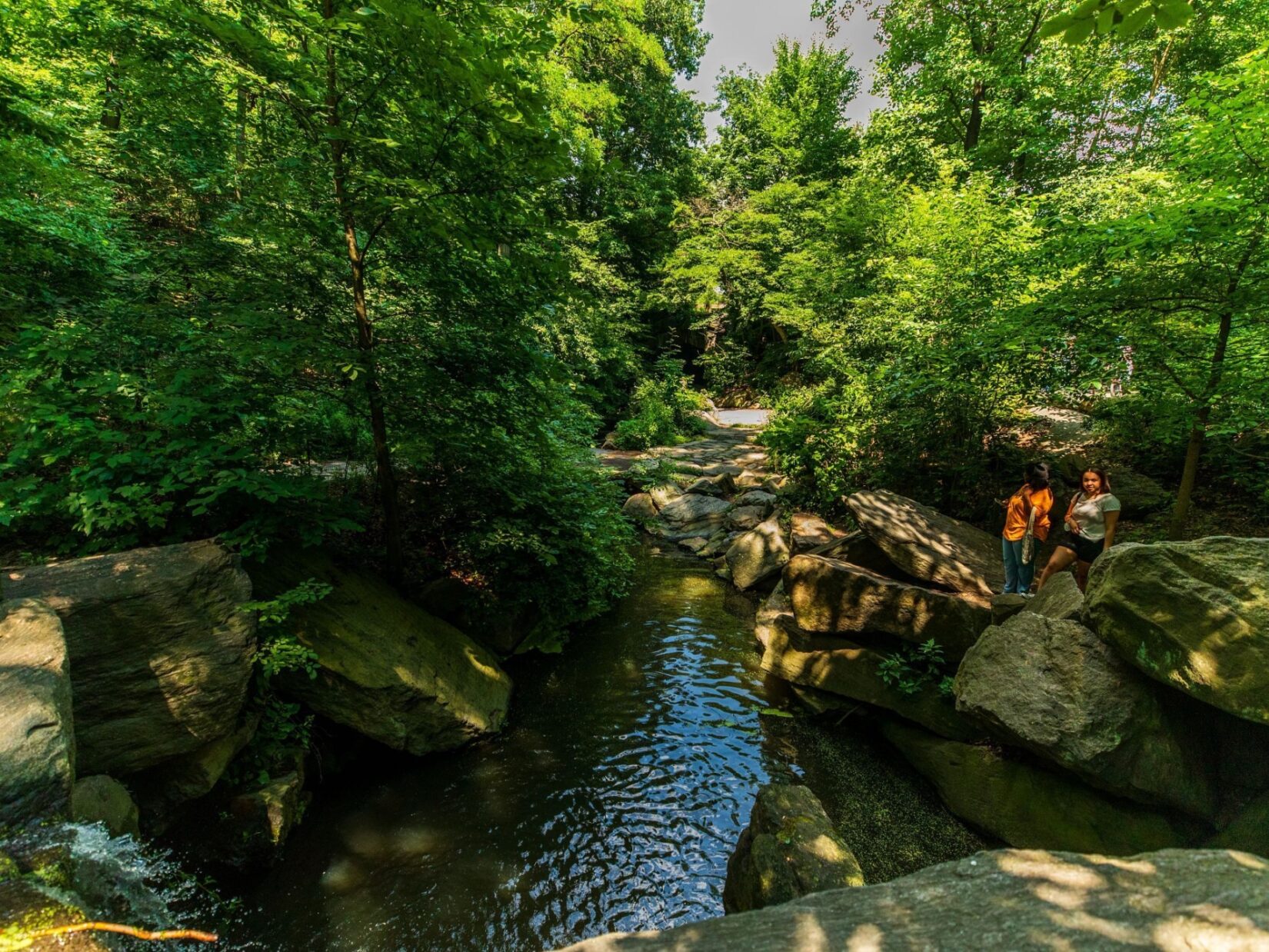 A pair of visitors stand on the shaded banks of the Ravine in a lush forest landscape.