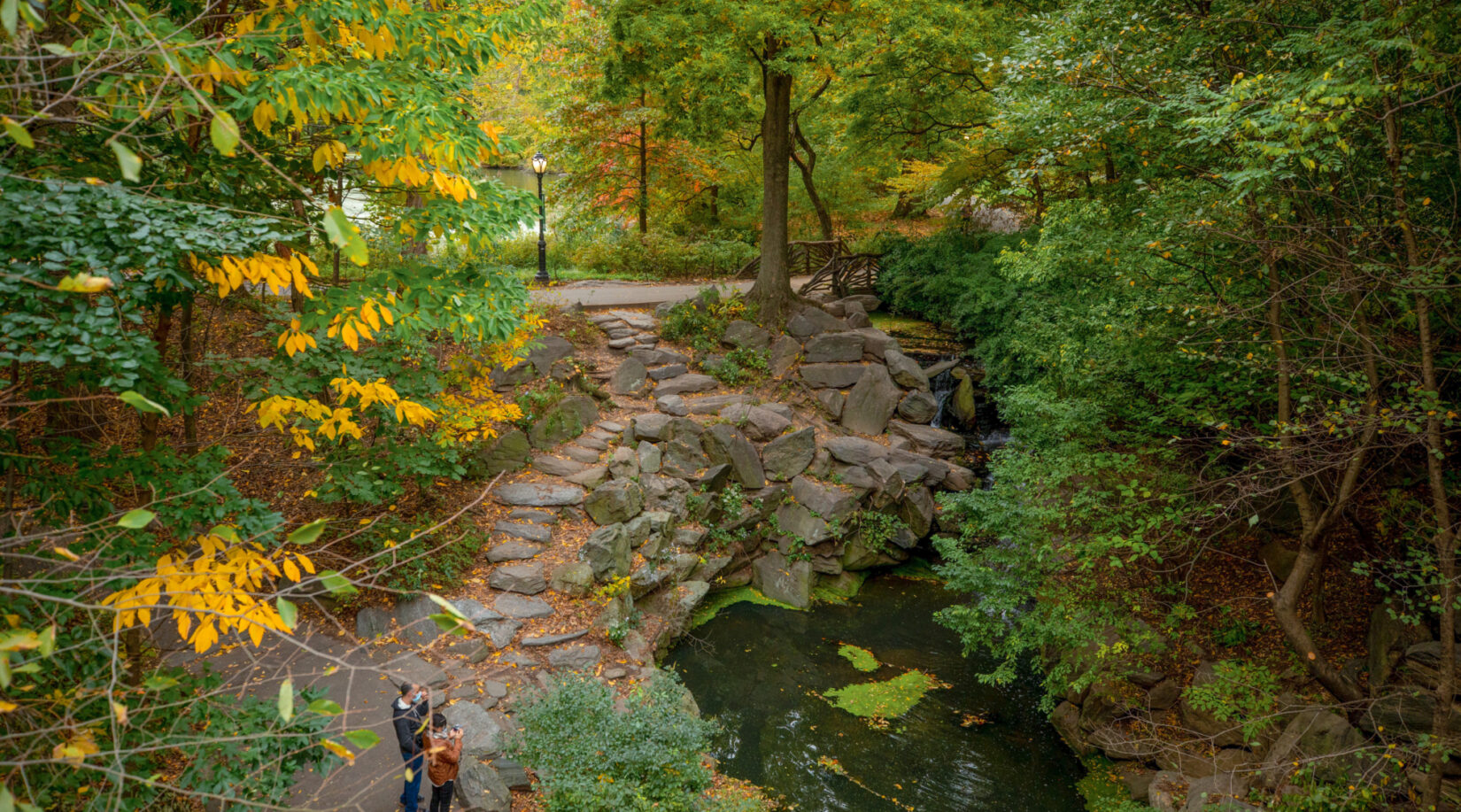 The Ravine in Central Park, October 2022