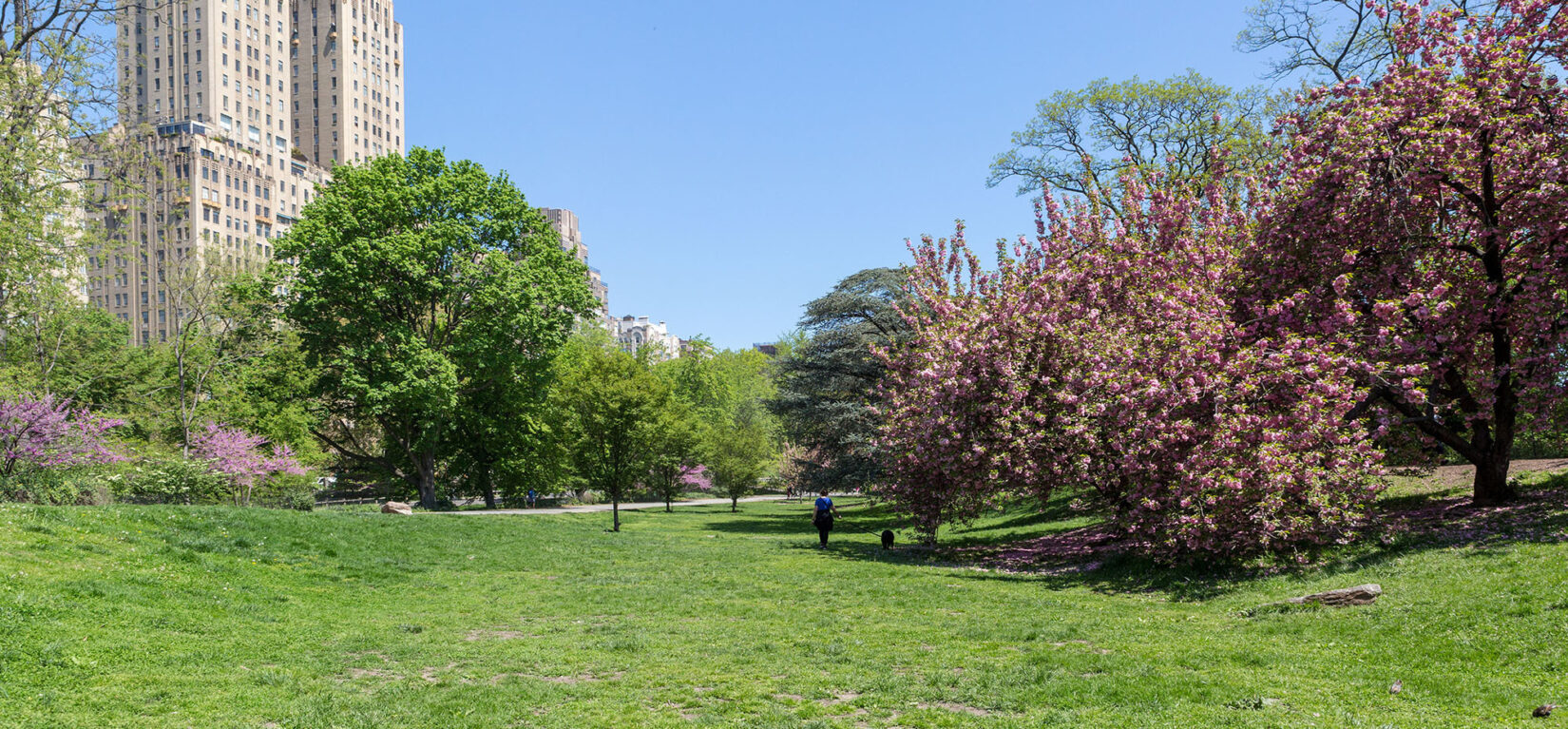 Reservoir West May 2018 39