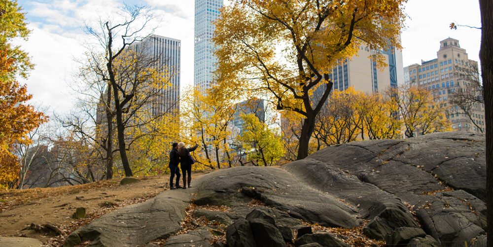 A couple enjoying the autumnal surroundings with the high rises of midtown providing the background