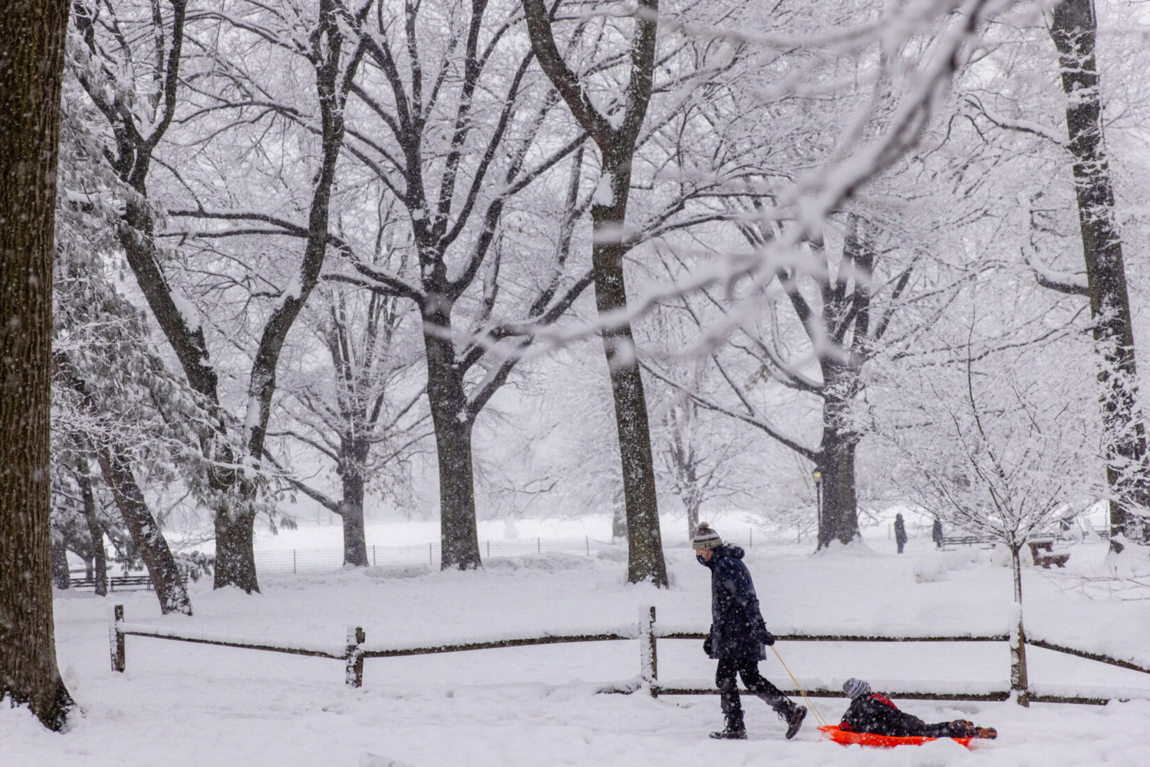 A parent pulls a child on their sled by the Arthur Ross Pinetum on a snowy day.