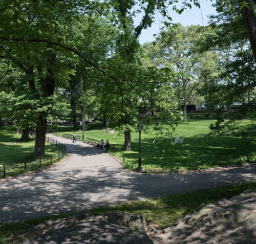 A sun-dappled view of the restored  Rumey Playfield and path