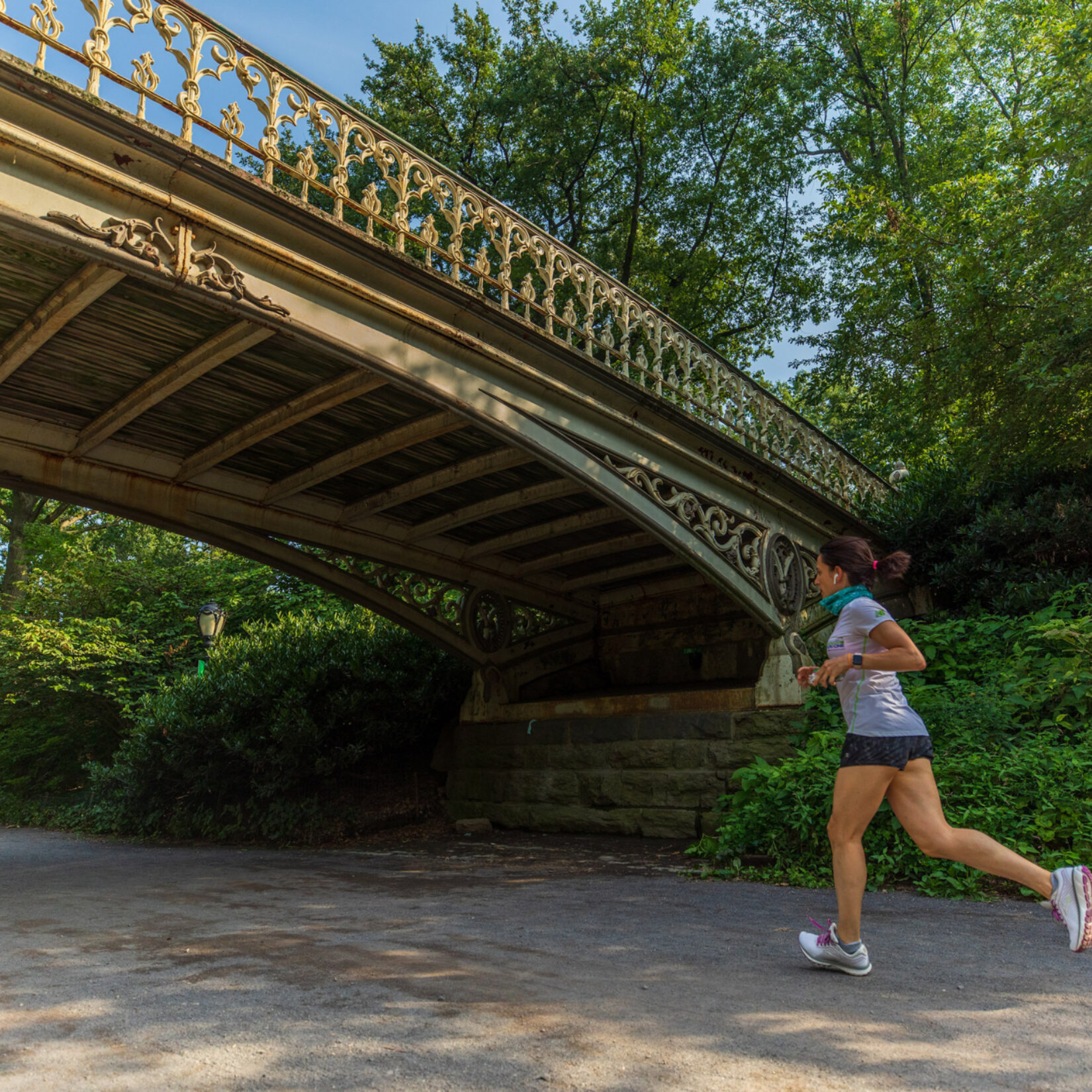 A runner in summer on the bridle path