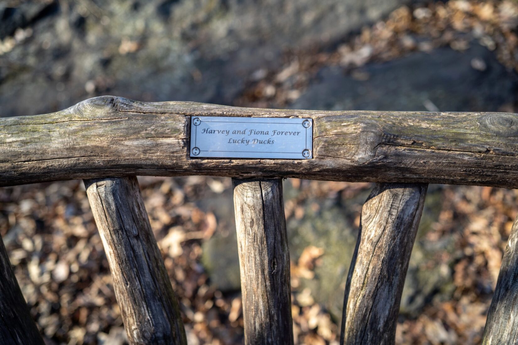 Rustic Park Bench Plaque 20200203 05447