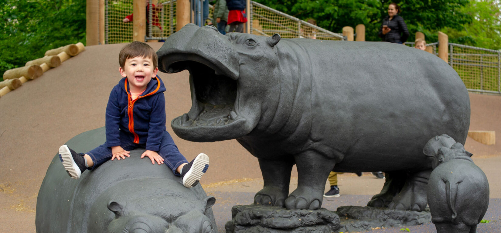 A young boy straddles one of the hippos of the playground