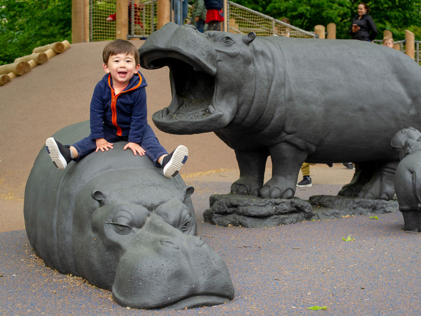 A young boy straddles one of the hippos of the playground