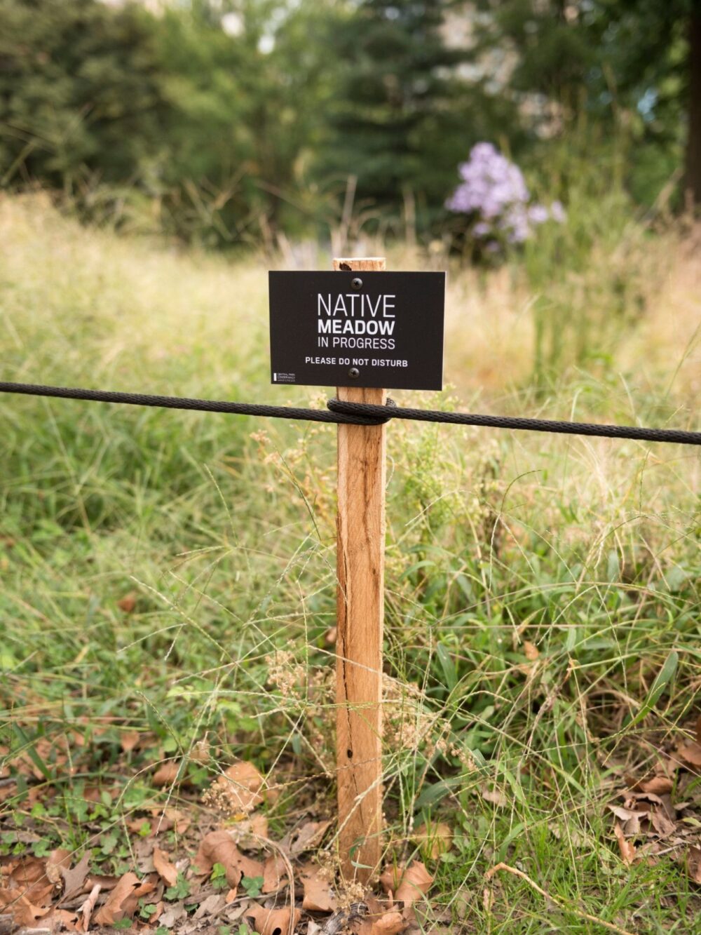 A black sign on a short wooden spike helps identify and protect delicate landscapes.