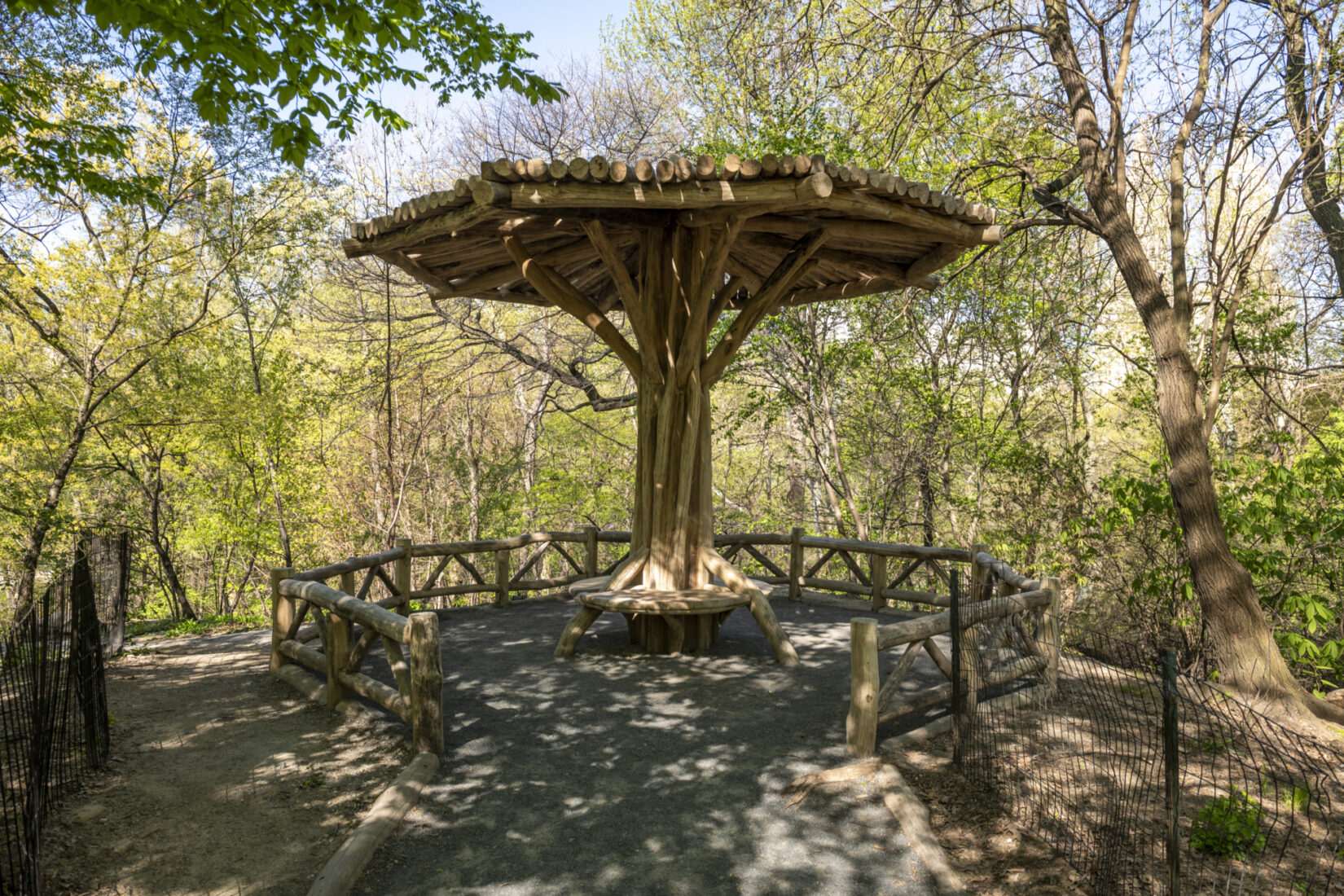 Completed Umbrella Structure, The Ramble, Central Park NYC