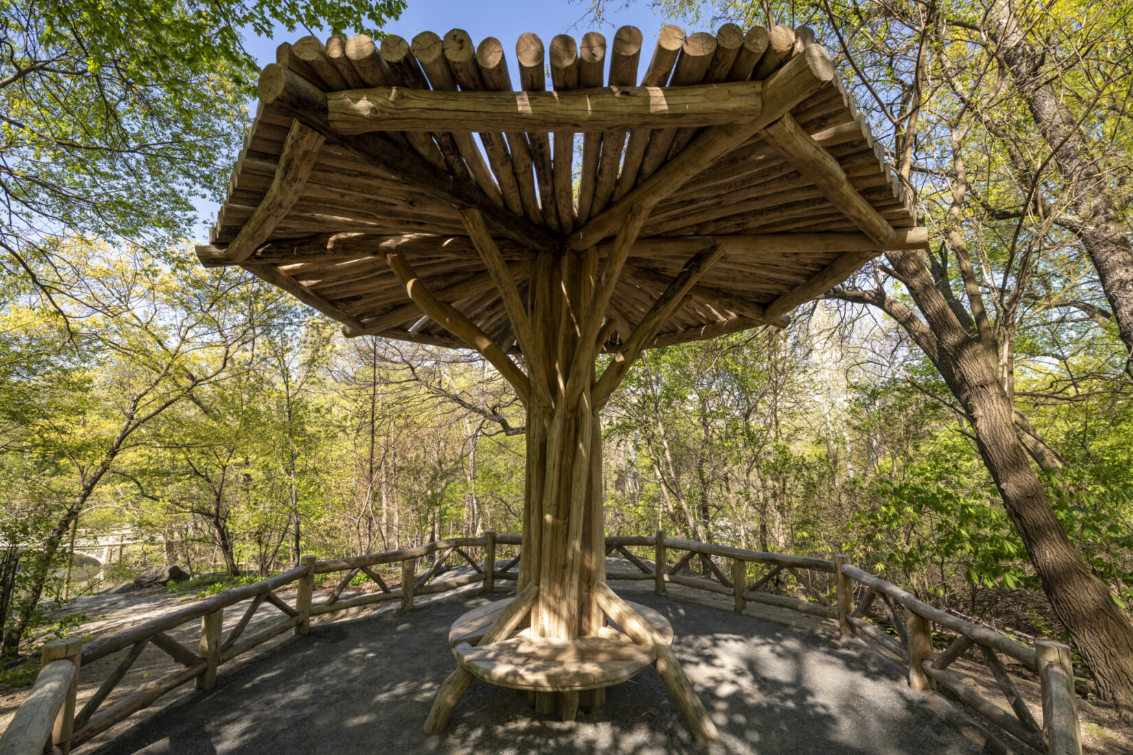 Completed Umbrella Structure, The Ramble, Central Park NYC