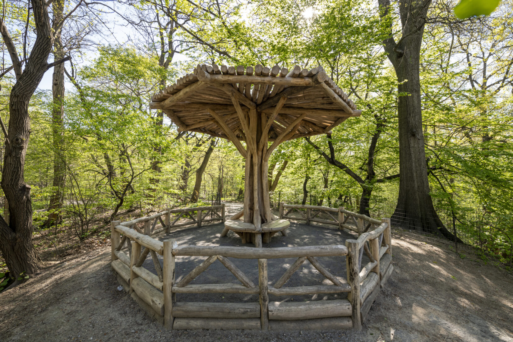 Completed Umbrella Structure, The Ramble, Central Park NYC