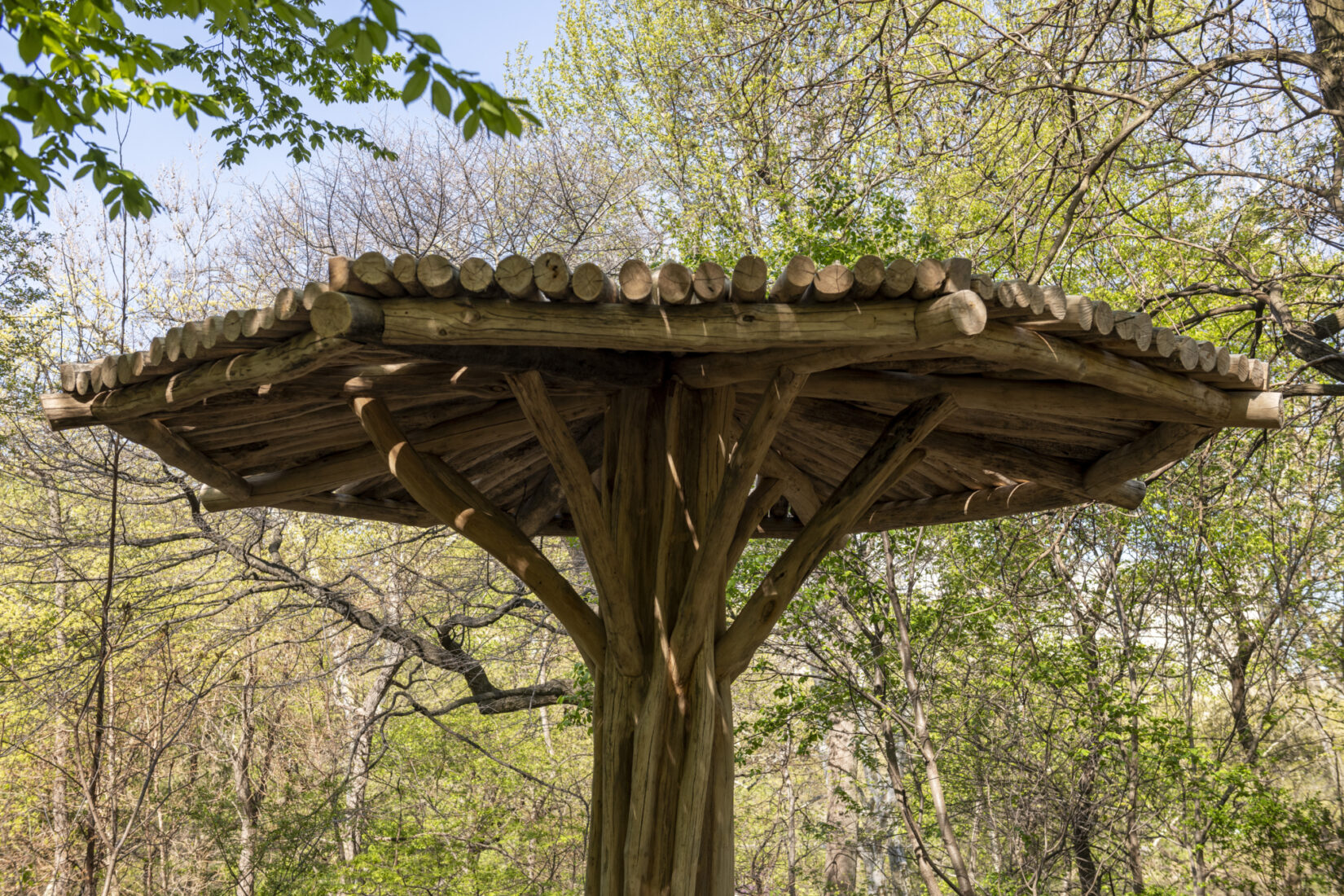 Completed Umbrella Structure, The Ramble, Central Park NYC