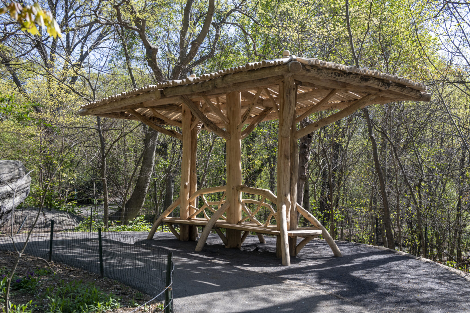 Completed Log Shelter, The Ramble, Central Park NYC