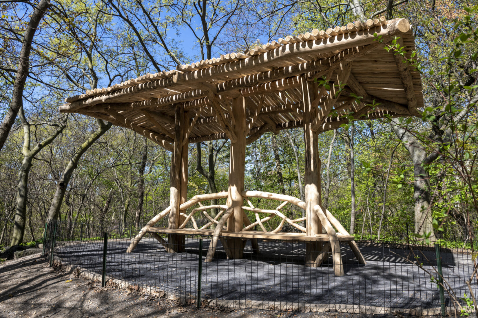 Completed Log Shelter, The Ramble, Central Park NYC